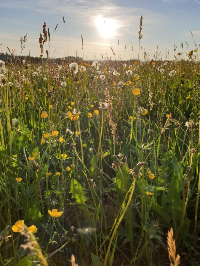 Ferienwohnung Rupp Argenbuhl Exteriör bild