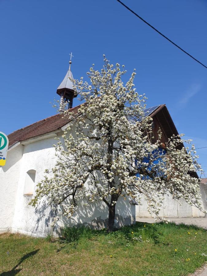 Ferienwohnung Rupp Argenbuhl Exteriör bild